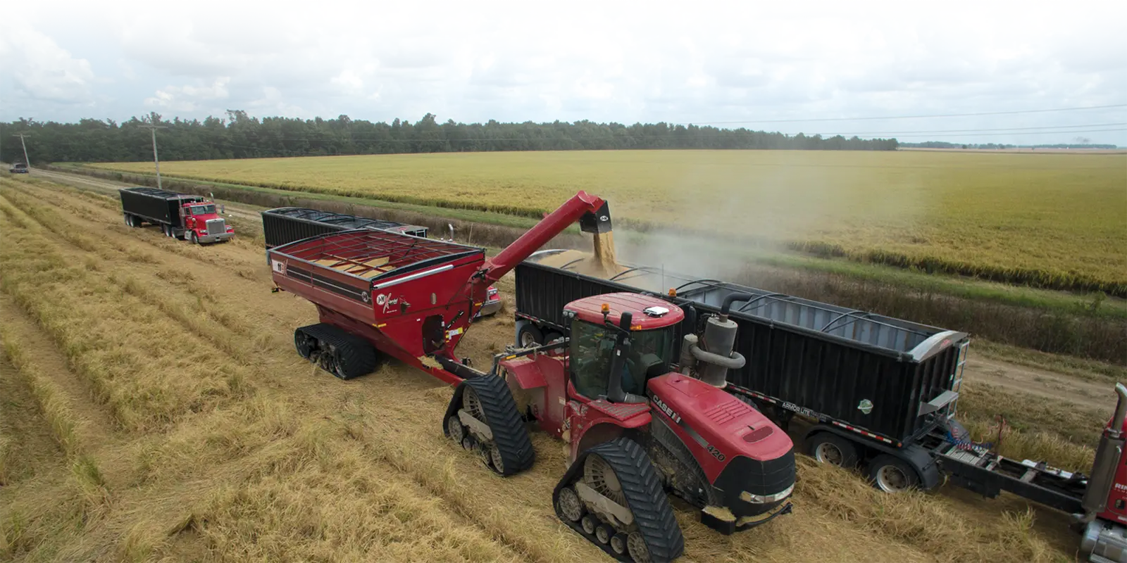 2014 Patriotic cart in the wheat field