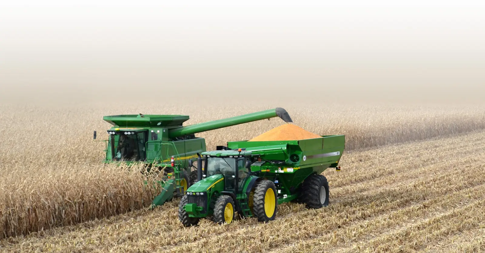 1112 Black grain cart in the corn field