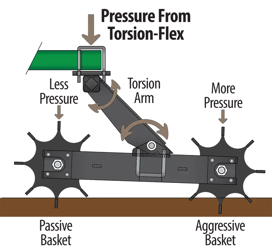 drawing of the torsion-flex support design, showing the passive and aggressive basket design.